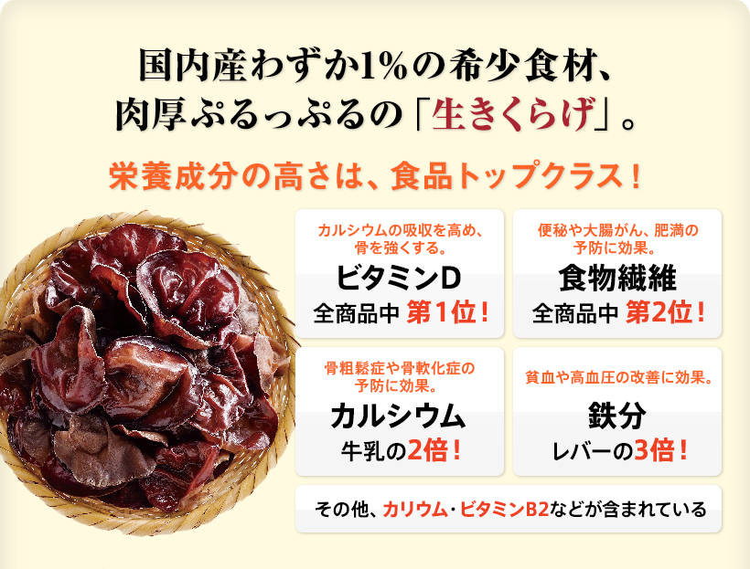 国内産わずか1％の希少食材、肉厚ぷるっぷるの「生きくらげ」。 栄養成分の高さは、食品トップクラス！