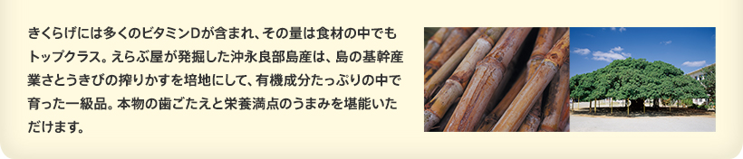 きくらげには多くのビタミンDが含まれ、その量は食材の中でもトップクラス。