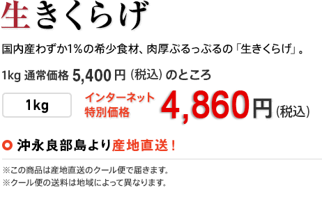 生きくらげ 国内産わずか1％の希少食材、肉厚ぷるっぷるの「生きくらげ」。 1kg 通常価格5,400円（税込）のところ 1kg インターネット特別価格4,500円（税込）